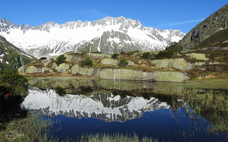 Kurzprojekte_Schweiz